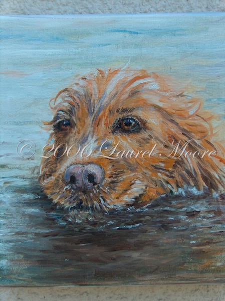 'Spaniel Portrait, by Laurel Moore.