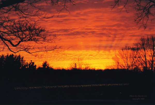 Christmas Sunset 2