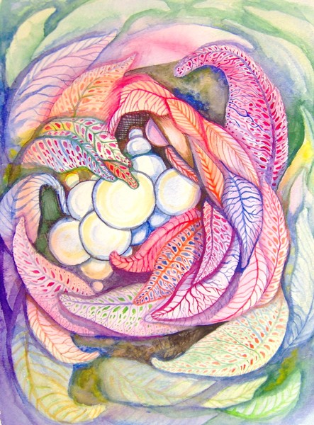 Nest