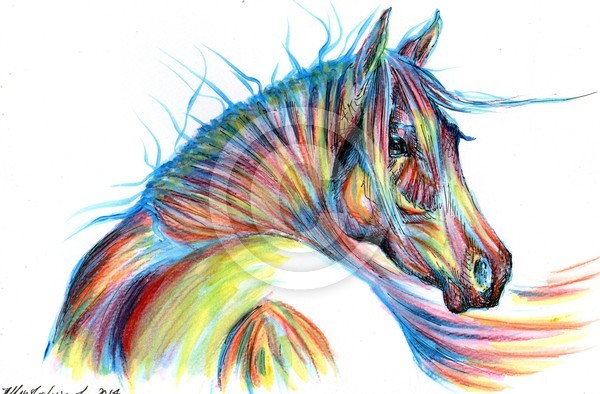 ~~Ulinska-Lisowska Original  Arabian Horse  Waterc