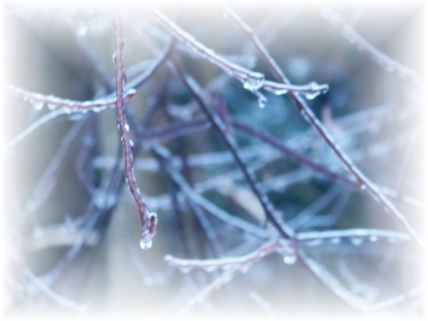 Seasons