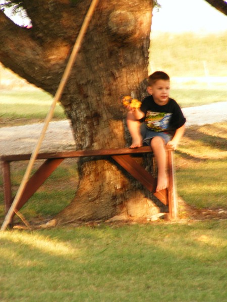 Youth