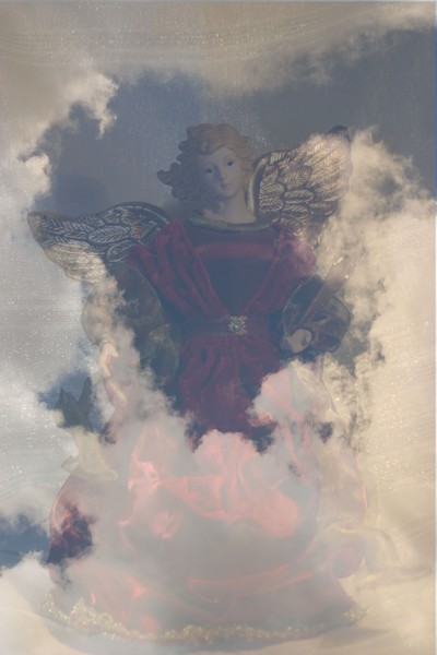 Angels Among us