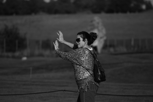 stonehenge 080