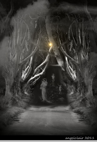 The Fairy Forest