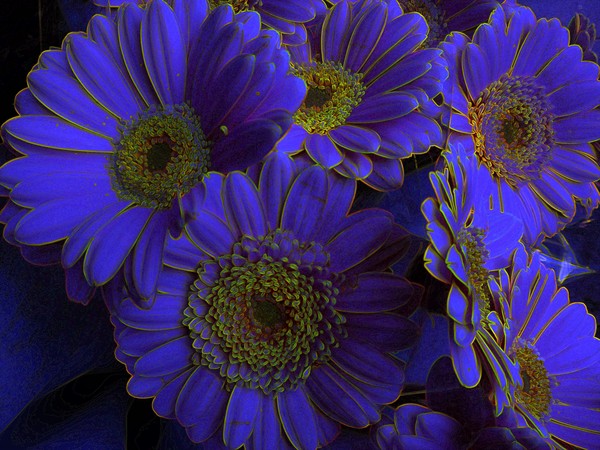 pretty in blue
