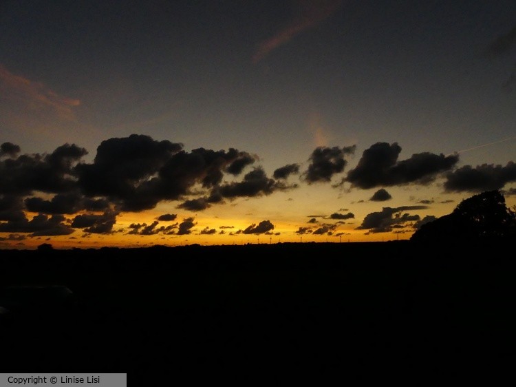 lini with sunset