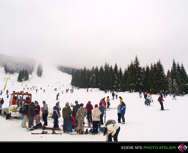 Winterfest