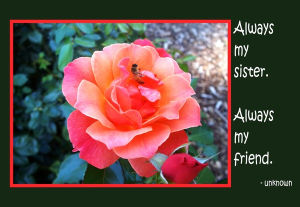 To My Sisters With Love
