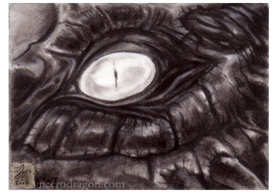 Charcoal Eye