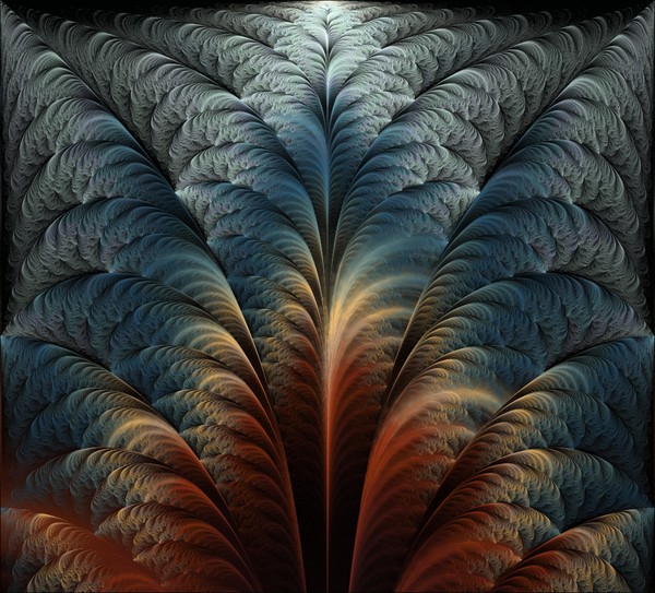Plumage