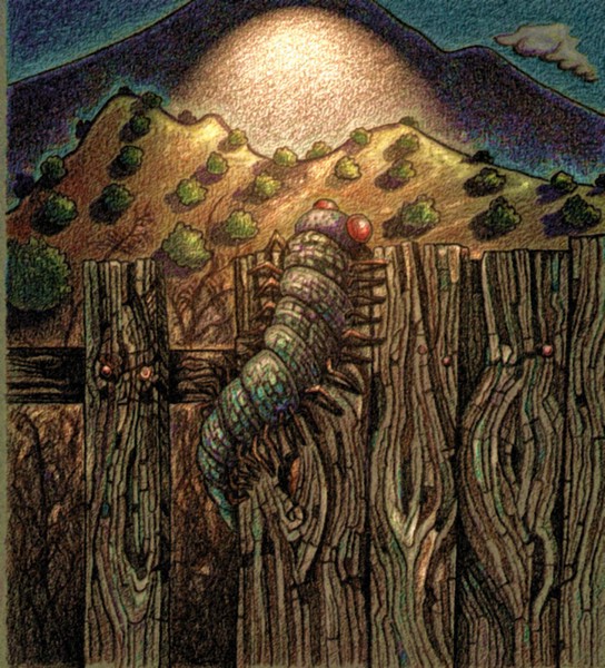 Desert Illusions
