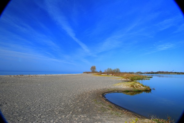 McLaughlin conservation area