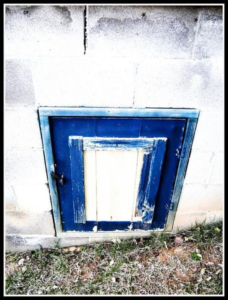 The Secret Door