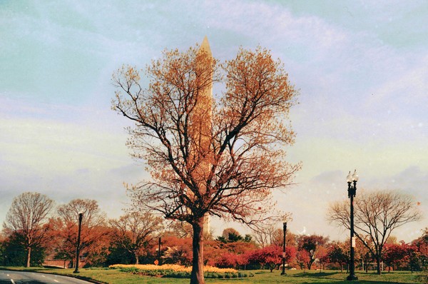 Hide & Seek Monument