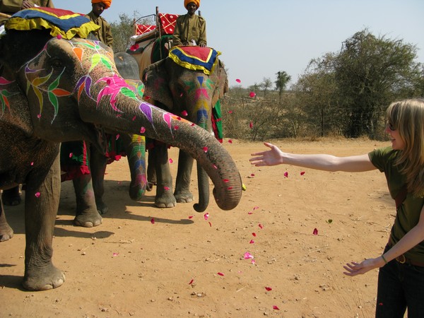 Elephants Love Bananas