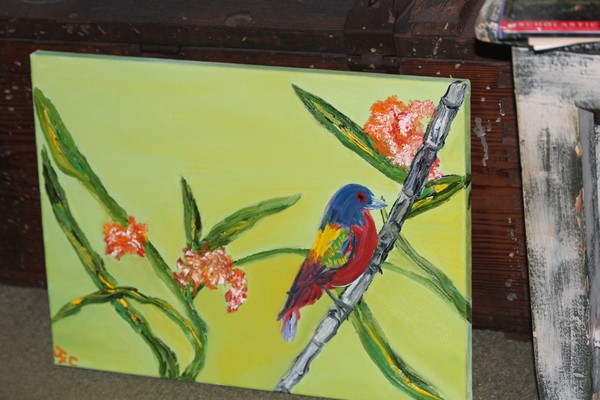 Painted Bunting