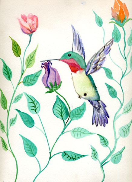 The Hummingbird