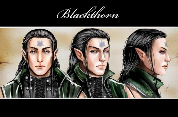 Blackthorn face studies