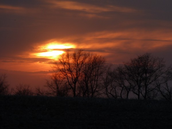 A Spring Sunset