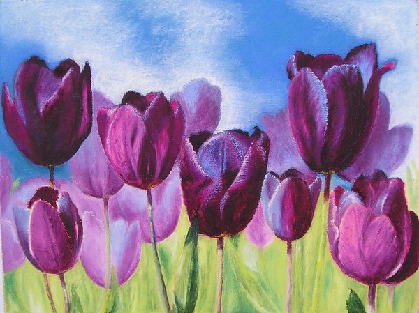 Tulips