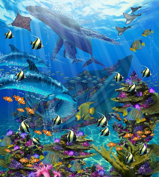 Dolphin Refuge~ John Enright