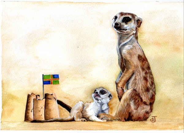 Meercat