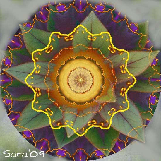 Entelechy Mandala