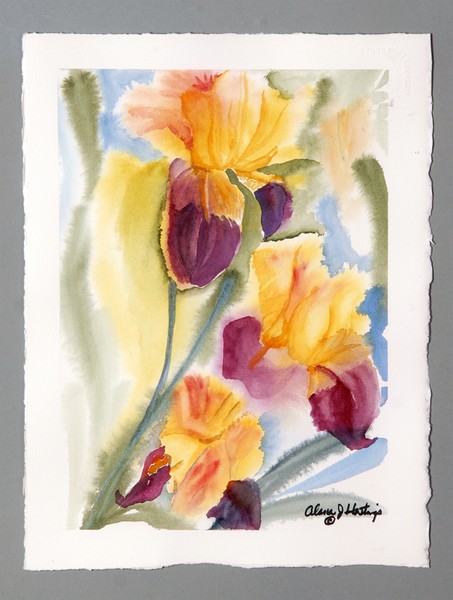Sun Shinning Iris