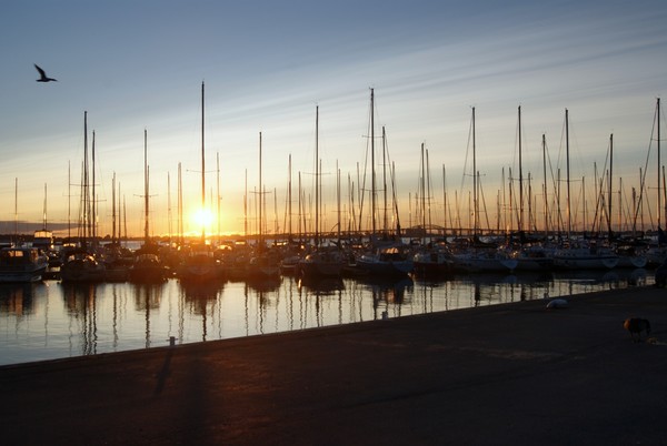 Looks Like A Calm Day Ahead