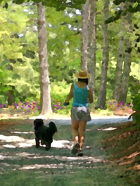 Woodland Walk