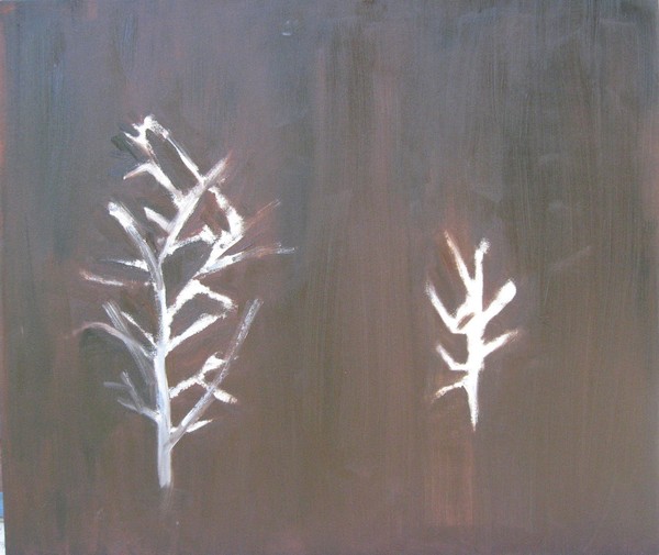 Dinasty 1, 2007