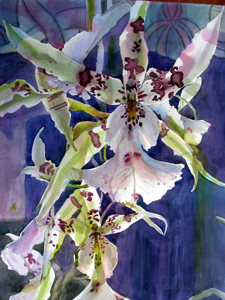 Orchidstra