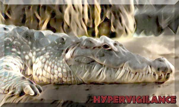 Croc