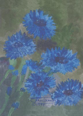 Blue Bachelor Buttons
