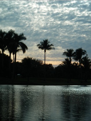 Florida Sunset