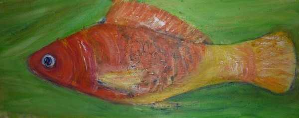Fish orange yellow