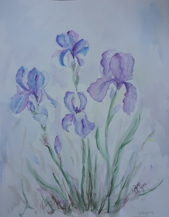 Iris and Friends
