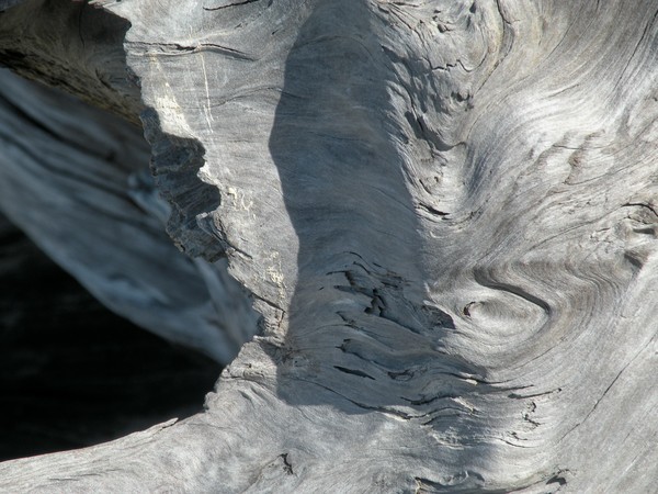 Swirls and Shadows