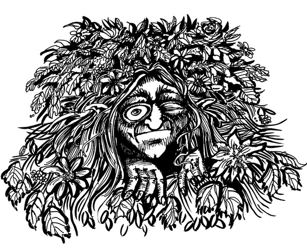 Gnome in the bush