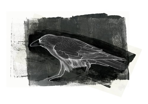 Crow