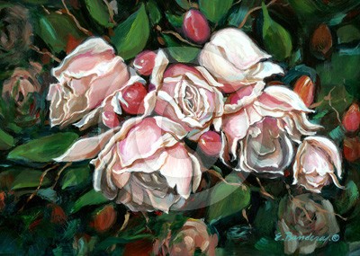 RoseBush