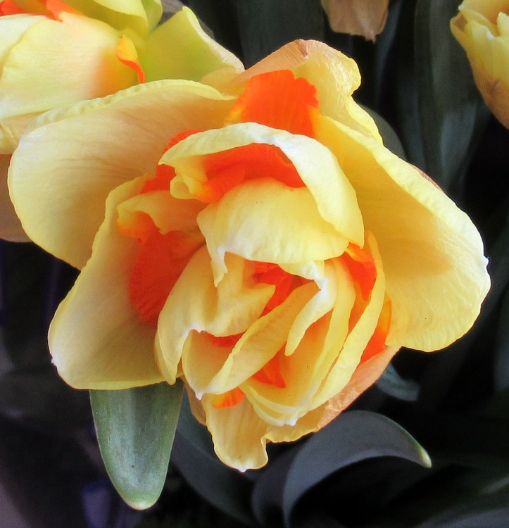HAPPY WEEK-END!