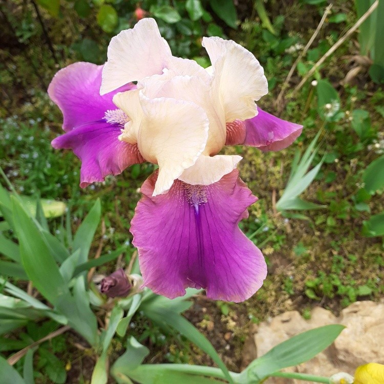 WISH YOU A BRILLIANT DAY!