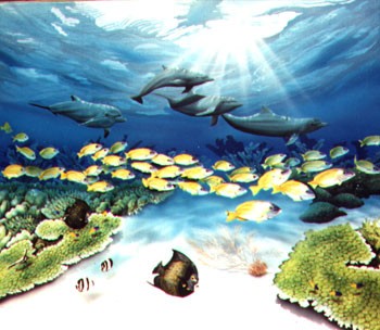Dreams-of-Dolphin
