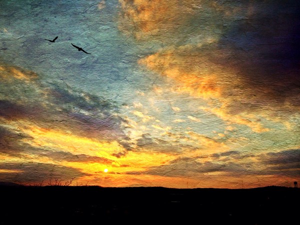 Heavenly Morn