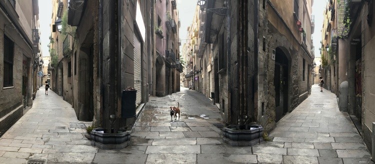 2 GIRLS A DOG--GGGG3600x1800