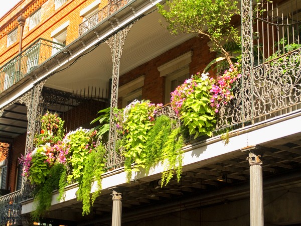 Balcony of Flowers