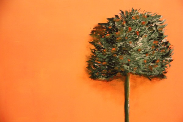 L'oranger (60x50)