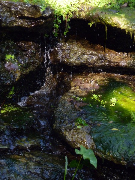 cool clear water